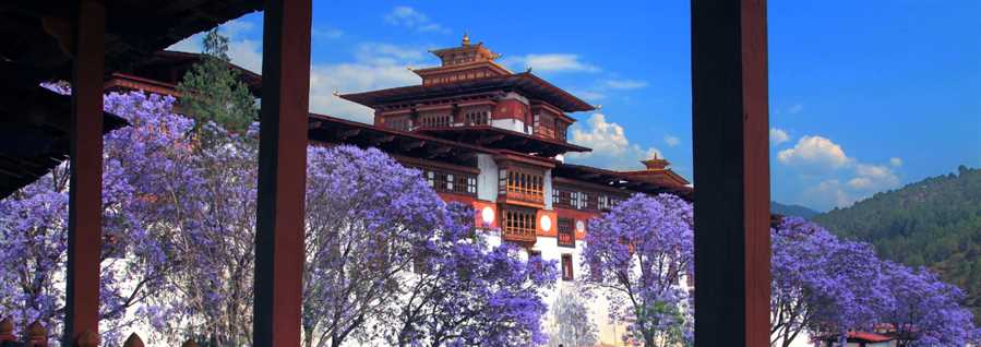 Holidays in Butan Deluxe Package